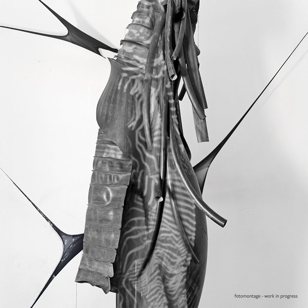 Fritzi Haussmann / Jo Jacobs - Ohne Titel